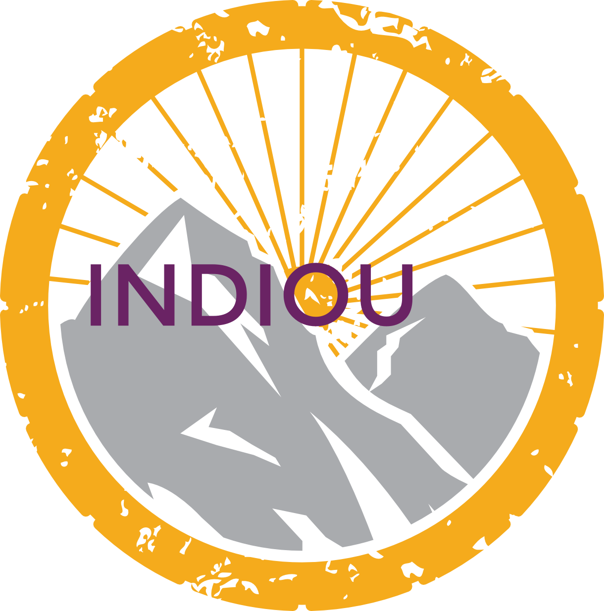 InDiOu – DIscover INside and OUtside