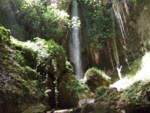 Read more about the article Nemouta – Waterfalls